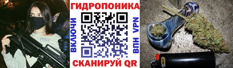 Канабис ГИДРОПОН  как найти   Анадырь 